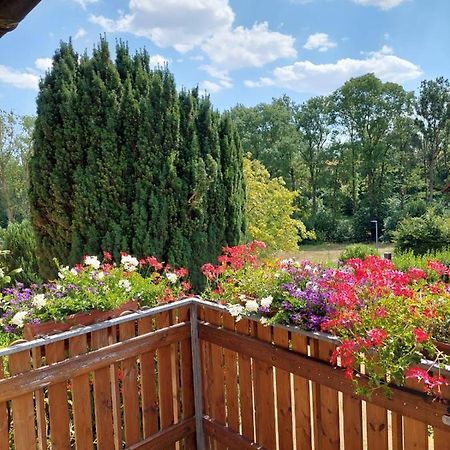 Ferienwohnung Meissner Bad Rodach Buitenkant foto